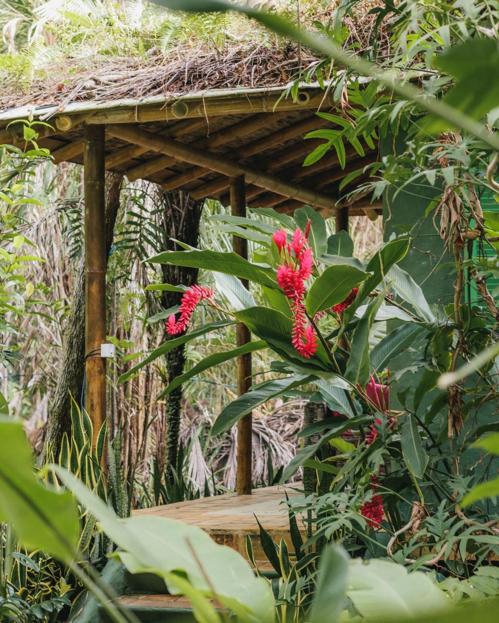 Hotel Butterfly House Bahia à Marau  Extérieur photo